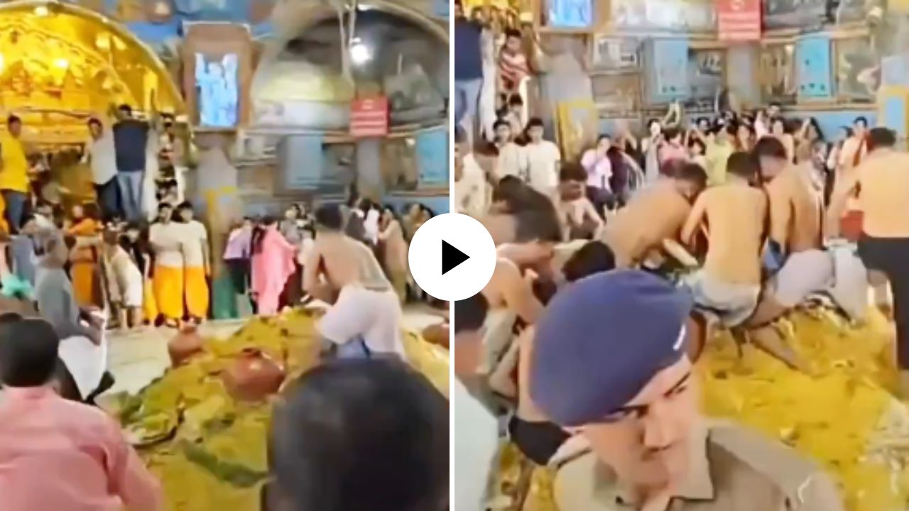 प्रसादाची ऐशी की तैशी! हजारो किलोच्या लाडूवर पाय देत चढले भक्तगण, धक्कादायक Video Viral