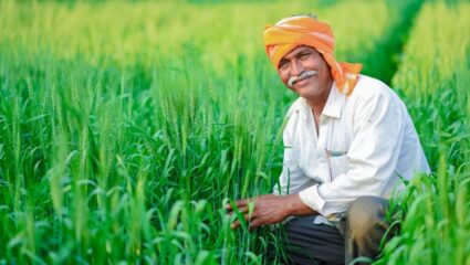 India Agriculture 2025: अमेरिकन टॅरिफचा फटका, तरीही भारताची कृषी क्षेत्रात मजबूत कामगिरी