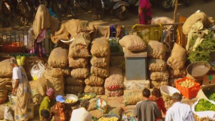 Kolhapur News : शेतकऱ्यांचे प्रतिनिधित्व करणारी मंडळे बरखास्त; माजी खासदार राजू शेट्टी यांची टीका म्हणाले….