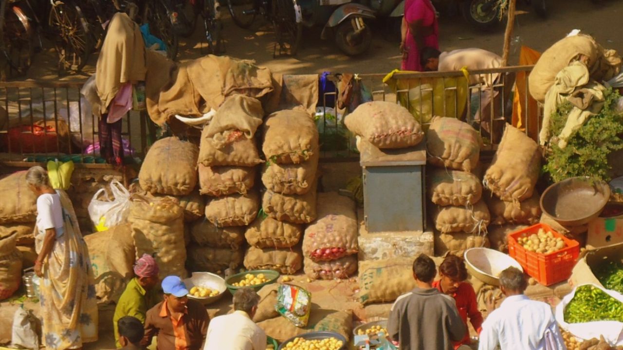 Kolhapur News : शेतकऱ्यांचे प्रतिनिधित्व करणारी मंडळे बरखास्त; माजी खासदार राजू शेट्टी यांची टीका म्हणाले….