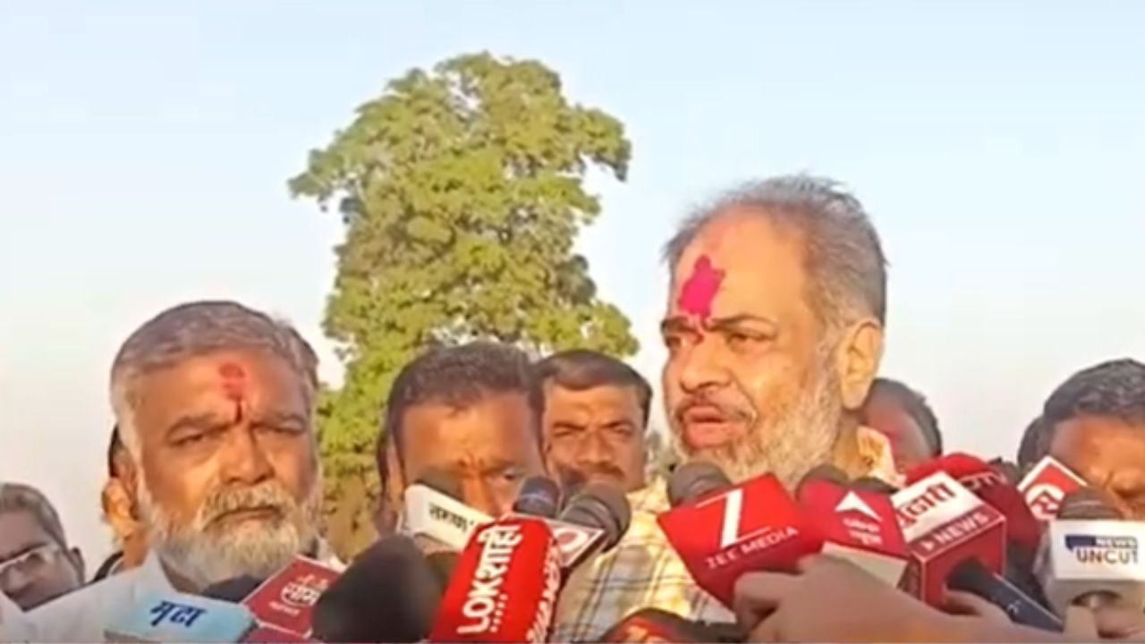 Kolhapur : देवराईतून दुर्मिळ वृक्षांचं प्रत्यारोपण, २ हजार झाडांना मिळणार पुर्नजीवन