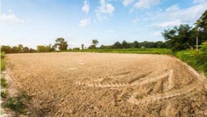 मोठी बातमी ! जमीन तुकडीकरण कायद्यात सुधारणा केली जाणार; महसूलमंत्र्यांचे महत्त्वपूर्ण संकेत