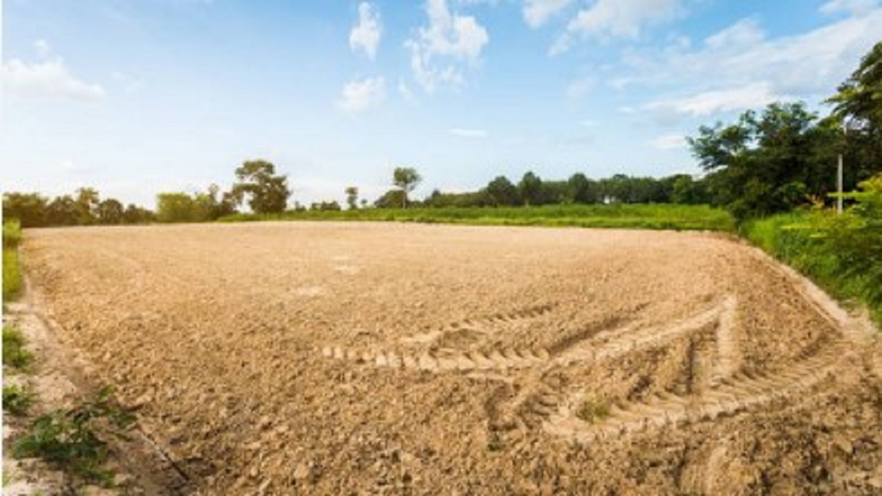 मोठी बातमी ! जमीन तुकडीकरण कायद्यात सुधारणा केली जाणार; महसूलमंत्र्यांचे महत्त्वपूर्ण संकेत