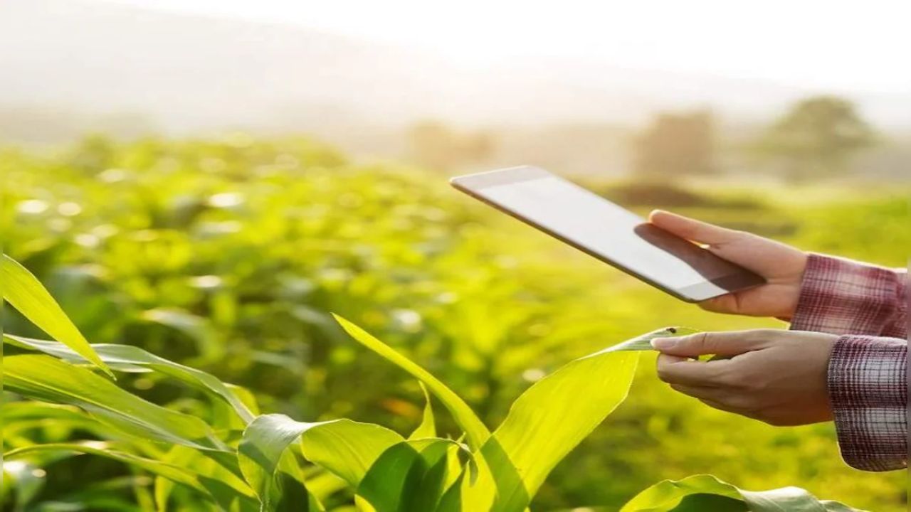 E-Peek Pahani Survey: ई-पिक पाहणी न झालेल्या शेतकऱ्यांसाठी दिलासा; ऑफलाईन पिक पाहणीसाठी 24 डिसेंबरपर्यंत अर्ज