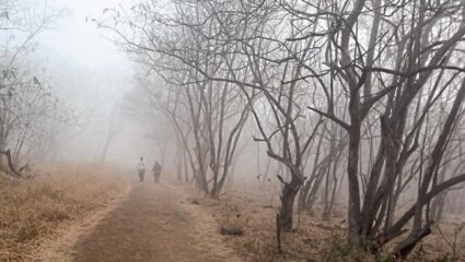 Maharashtra Weather : धुक्याची चादर अन् गारठ्याचा जोर वाढला! ‘या’ जिल्ह्यात तापमान 6.6 अंशावर, तुमच्या भागात काय परिस्थिती?