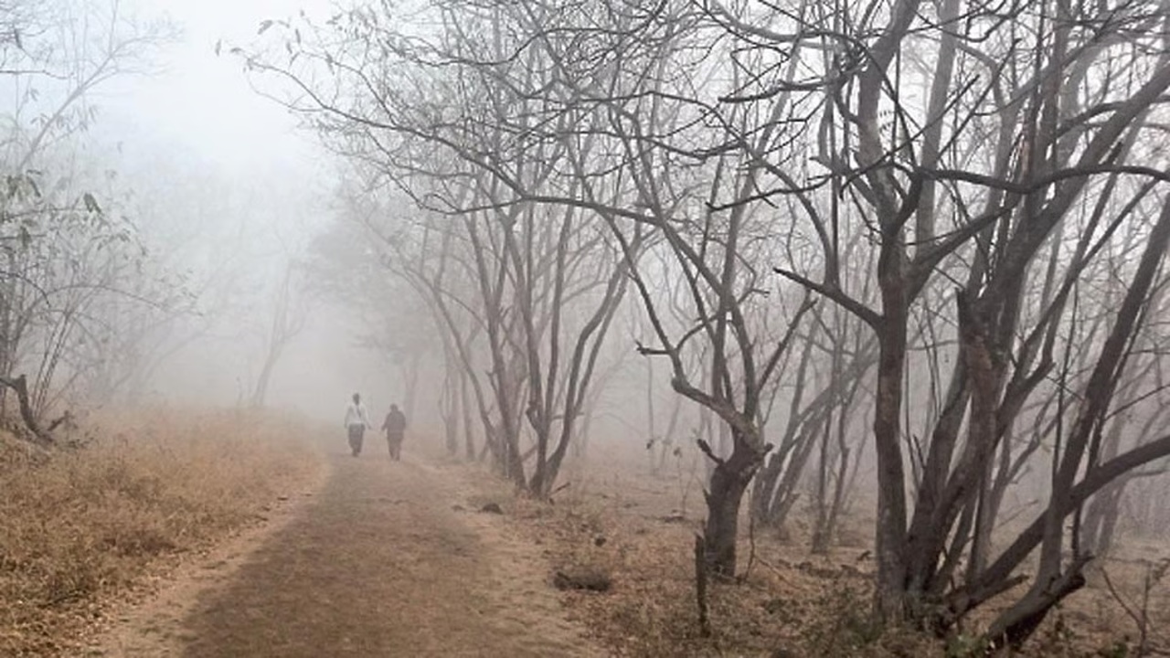 Maharashtra Weather : धुक्याची चादर अन् गारठ्याचा जोर वाढला! ‘या’ जिल्ह्यात तापमान 6.6 अंशावर, तुमच्या भागात काय परिस्थिती?