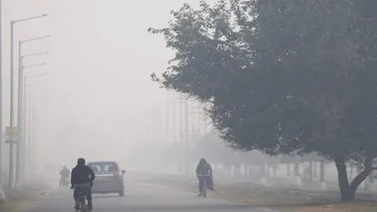 महाराष्ट्रातील ‘या’ जिल्ह्यात शीतलहर! पारा १३ अंशावर, ढगाळ वातावरणासह थंडीची लाट; हवामान विभागाचा इशारा