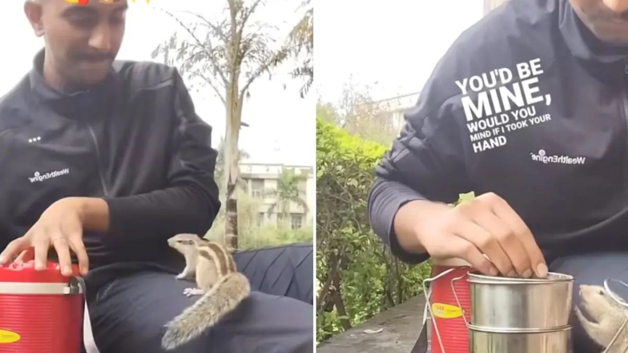 व्यक्तीने खारुताई सोबत केलं लंच! खास मैफिलीचा VIDEO सोशल मीडियावर तुफान व्हायरल