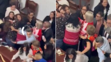 मेक्सिको सिटीच्या संसदेत उडाला गोंधळ ; महिला खासदारांनी एकमेकींच्या झिंझ्या धरल्या अन्…, VIDEO VIRAL