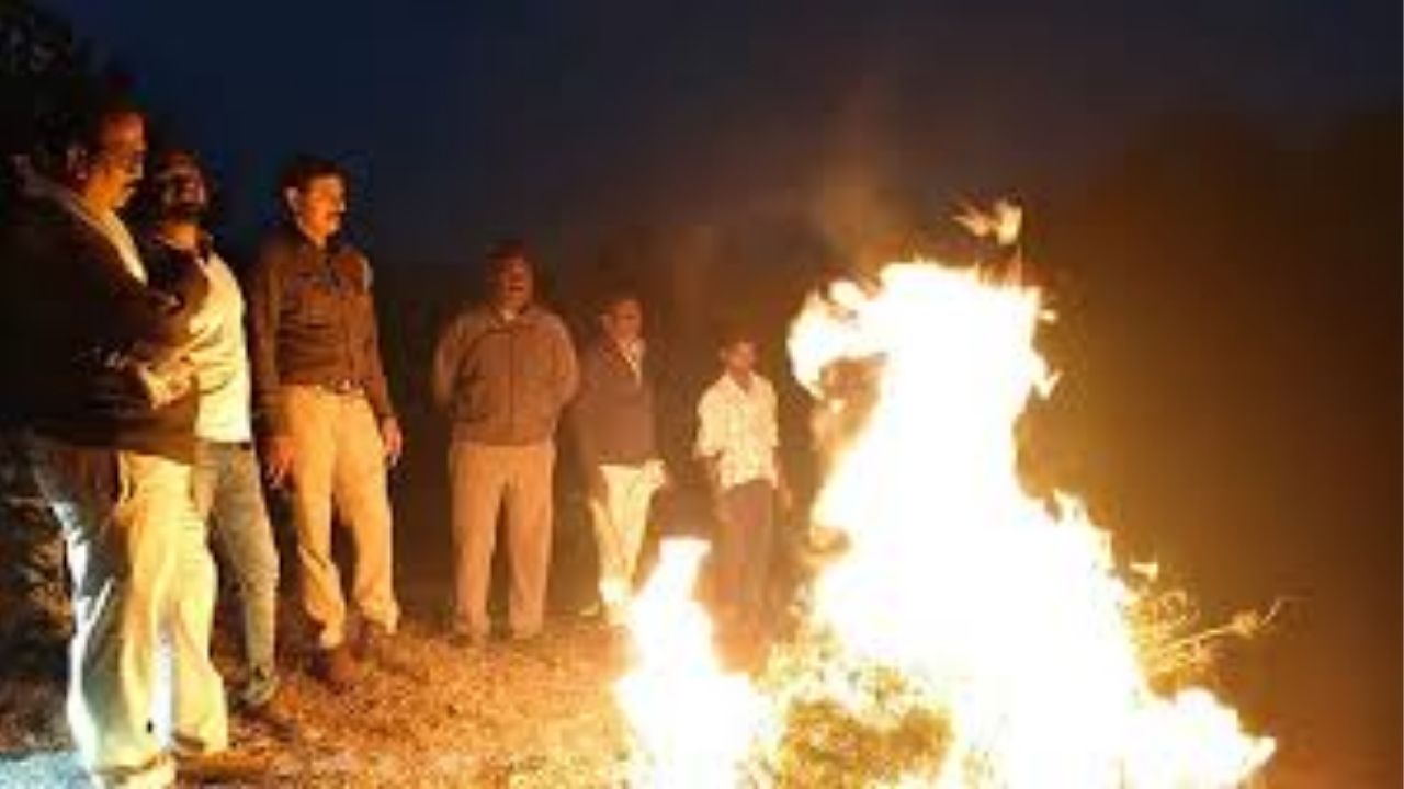 Dhule Crime: धुळे व नांदेडमध्ये मोठी कारवाई! 122 गुंठ्यातील गांजाची शेती जाळून नष्ट, 45 किलो गांजा जप्त