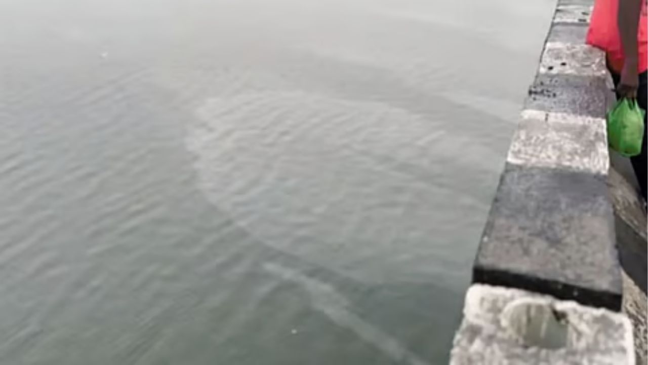 Dhule News: सेल्फी, ‘गुड बाय’आणि स्टेटस ठेवून तापी नदीत उडी; सुरतहून यात्रेसाठी गावी आलेल्या 22 वर्षीय तरुणाने आयुष्य संपवलं