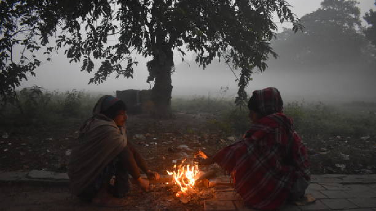Cold Wave Alert: स्वेटर, जर्किन घालूनच फिरा! महाराष्ट्रावर मोठे संकट येणार! येत्या २४ तासांमध्ये…