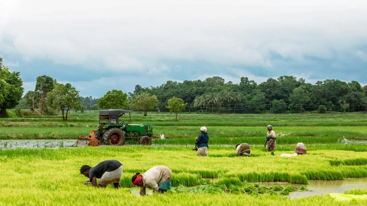 PM Kisan Yojana : पीएम किसान योजनेबद्दल महत्त्वपूर्ण अपडेट, तीन हप्ते मिळाले नसतील तर असा करा अर्ज, मिळेल पूर्ण परतावा