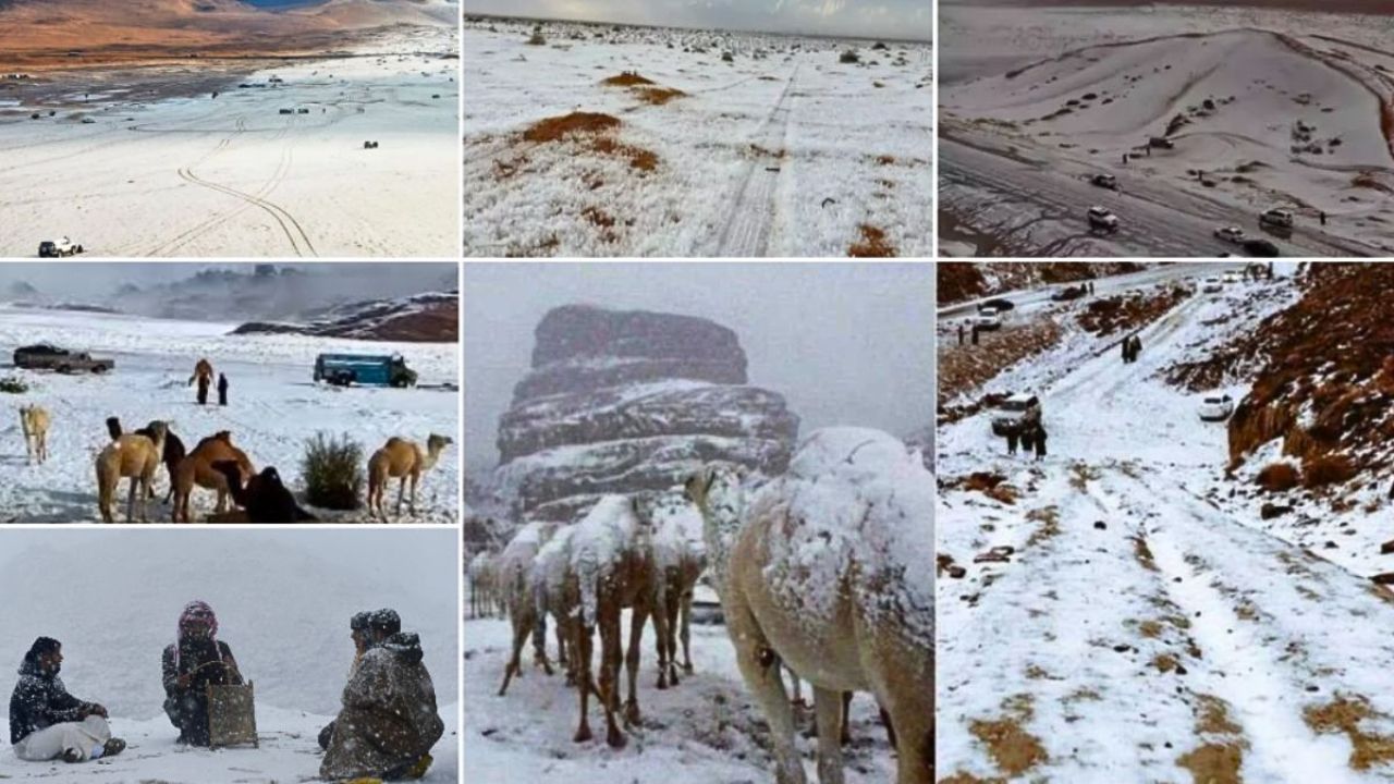 Saudi Snow : जगाचा अंत जवळ आलाय? सौदी अरेबियातील बर्फवृष्टीमुळे कालचक्र फिरलं अन् पैगंबरांची ‘ती’ भविष्यवाणी पुन्हा जिवंत