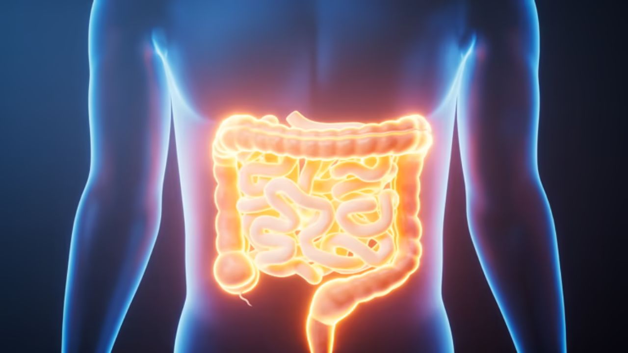 पचनशक्ती कमकुवत झाली आहे? मग आतड्यांची हालचाल सुलभ ठेवण्यासाठी आहारात करा ‘या’ फळांचा समावेश
