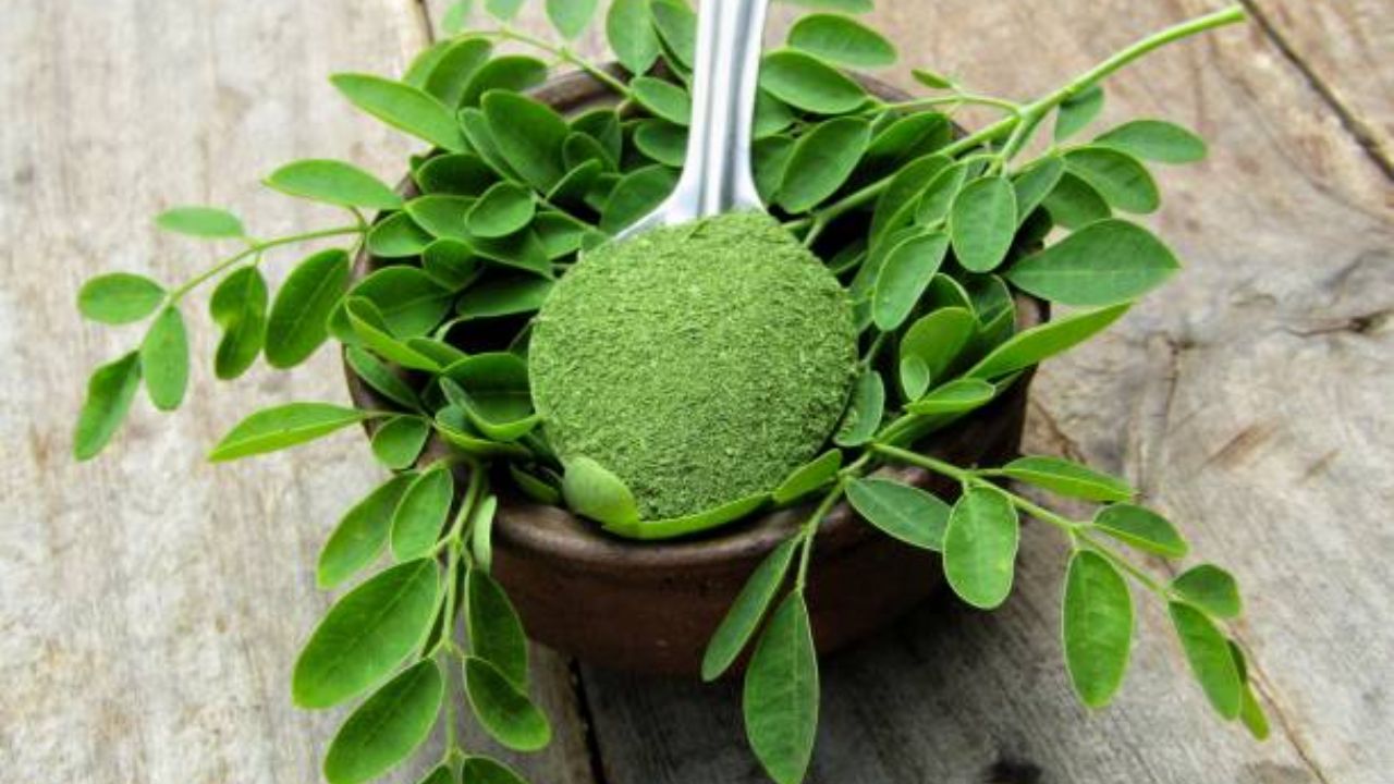 शेवग्याच्या पानांमध्ये विटामिन ए, विटामिन सी, कॅल्शियम, पोटॅशियम आणि लोह इत्यादी अनेक घटक मोठ्या प्रमाणावर आढळून येतात. शरीरात निर्माण झालेली पोषक घटकांची कमतरता भरून काढण्यासाठी शेवग्याच्या पानांचे सेवन करावे.