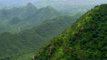 Aravalli Hills News: अरवलीच्या संरक्षणासाठी मोदी सरकारचा मोठा निर्णय, नव्या खाणकामावर पूर्णतः बंदी