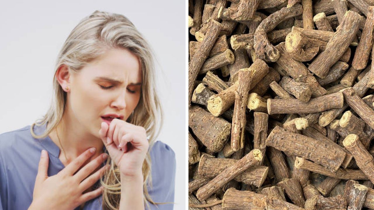 छातीत साचून राहिलेल्या कोरड्या कफापासून मिळेल कायमची सुटका! ‘या’ औषधी काडीचे सेवन केल्यास शरीर होईल स्वच्छ