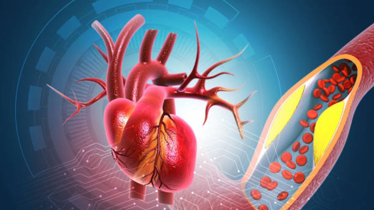 थंडीत Heart Attack चा धोका का वाढतो? हृदयविकाराचा झटका येऊ नये म्हणून अशी घ्या शरीराची काळजी