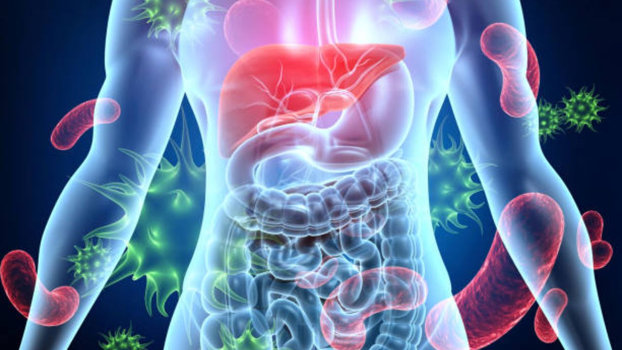 Liver ला सूज आल्यानंतर शरीरात दिसून येतात ‘ही’ महाभयंकर लक्षणे, दुर्लक्ष करणे आरोग्यासाठी ठरेल धोक्याचे