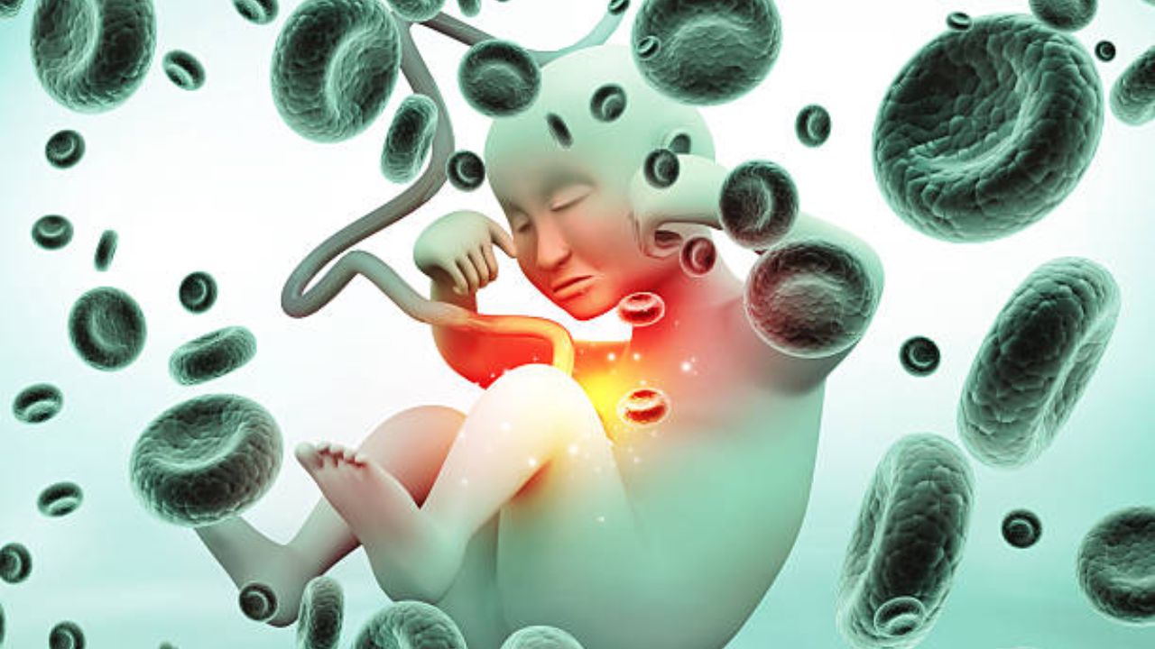 सहाव्या आणि सातव्या महिन्यात बाळाच्या शरीरातील नसा कार्य करू लागतात. तसेच बाळाची श्रवणशक्ती सुधारते. आठवा महिना लागल्यानंतर बाळ आईच्या गर्भात हालचाल करू लागते.