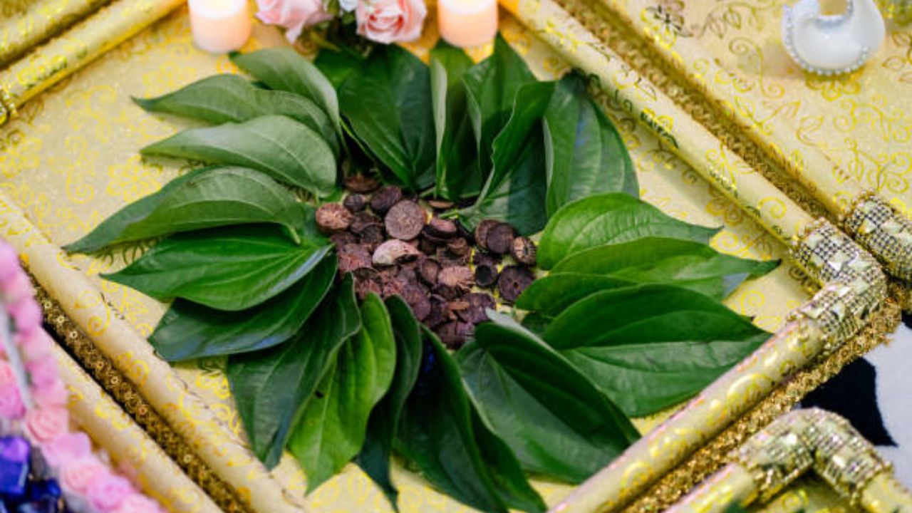 विड्याच्या पानांमध्ये बाष्पशील तेल, अमिनो ऍसिड ,कार्बोहायड्रेट, विविध जीवनसत्व, अँटिऑक्सिडेंट आणि  दाहक विरोधी गुणधर्म मोठ्या प्रमाणावर आढळून येतात. 