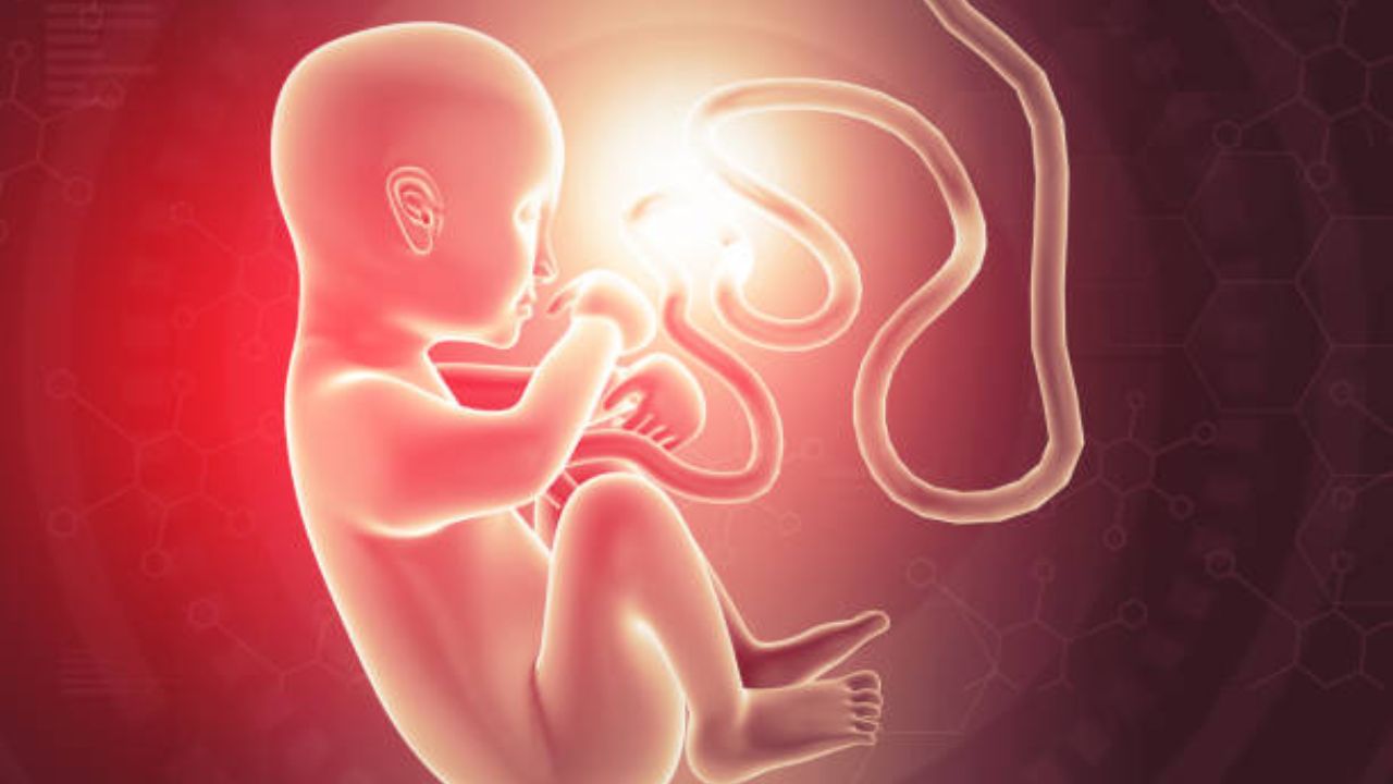 गर्भधारणेचा शेवटचा टप्पा म्हणजे नववा महिना. या महिन्यात बाळाच्या पापण्या हळूहळू हालचाल करतात. याशिवाय बाळाच्या शरीरातील फुफ्फुसे तयार होतात. नऊ महिने पूर्ण होण्याच्या आधी पचनक्रिया विकसित होते. पचनक्रिया हा बाळाचा शरीरातील सगळ्यात शेवटचा अवयव आईच्या गर्भात तयार होतो.