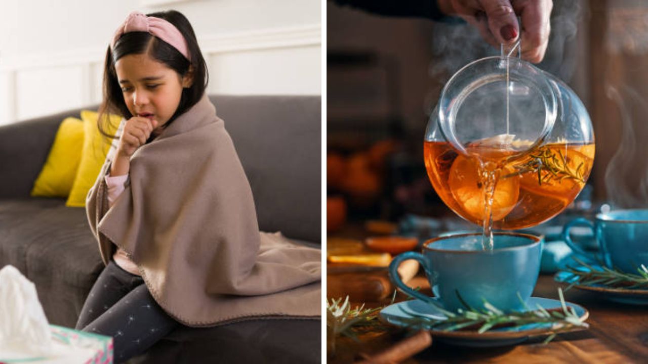 हिवाळ्यात वाढलेला सर्दी खोकला कमी करण्यासाठी घरीच तयार करा हर्बल टी! आयुर्वेदिक पदार्थांनी कफ होईल मोकळा