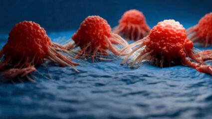 कॅन्सरसारख्या जीवघेण्या आजारापासून शरीराचा होईल बचाव! दैनंदिन जीवनात फॉलो करा ‘या’ आरोग्यदायी सवयी, शरीर राहील फिट