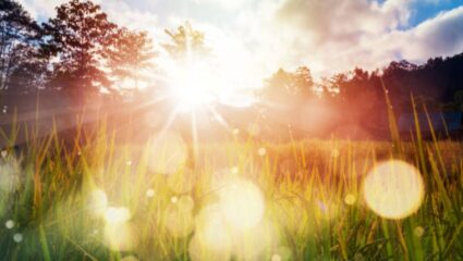 आयुष्य हा एक सुंदर प्रवास….!  दिवसाची सुरुवात आनंद आणि सकारत्मकतेने करण्यासाठी प्रियजनांना पाठवा ‘या’ शुभेच्छा