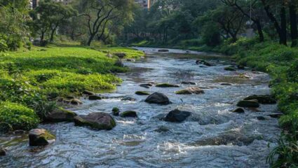 Mumbai River Rejuvenation: मुंबईच्या नद्यांना मिळणार ‘गावपण’! मिठीसह चारही नद्यांच्या शुद्धीकरणासाठी पालिकेचा ‘मेगा प्लॅन’ सज्ज