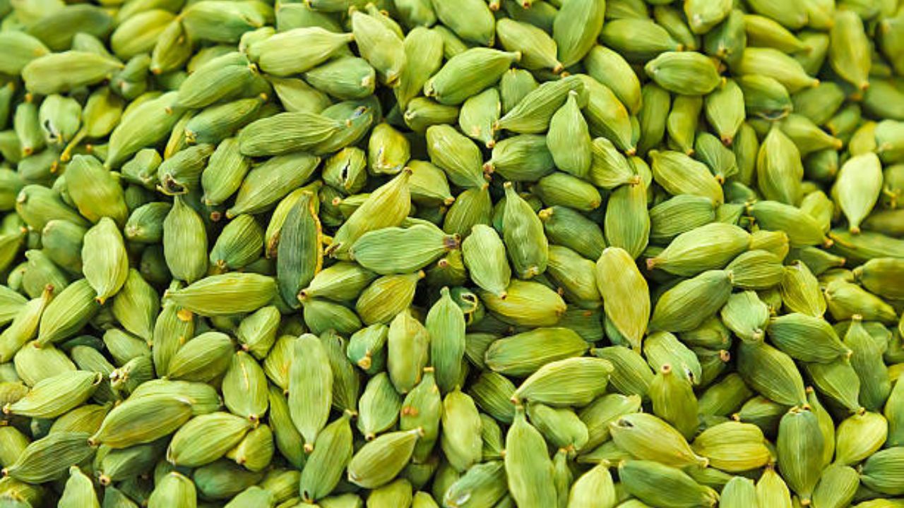 झोपण्याआधी चावून खा आयुर्वेदिक गुणधर्मांनी समृद्ध असलेली वेलची, संपूर्ण आरोग्याला होतील भन्नाट फायदे