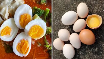 ‘या’ लोकांनी चुकूनही खाऊ नये अंड्याच्या आतील पिवळा भाग, कोणत्याही क्षणी येईल हार्ट अटॅक आणि सायंटिस्टचा धोका