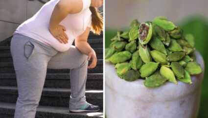 पोटावर वाढलेले चरबीचे टायर्स होतील नष्ट! रात्री झोपण्याआधी नियमित करा ‘या’ हिरव्या पदार्थाचे सेवन, २० दिवसांमध्ये दिसेल जादू