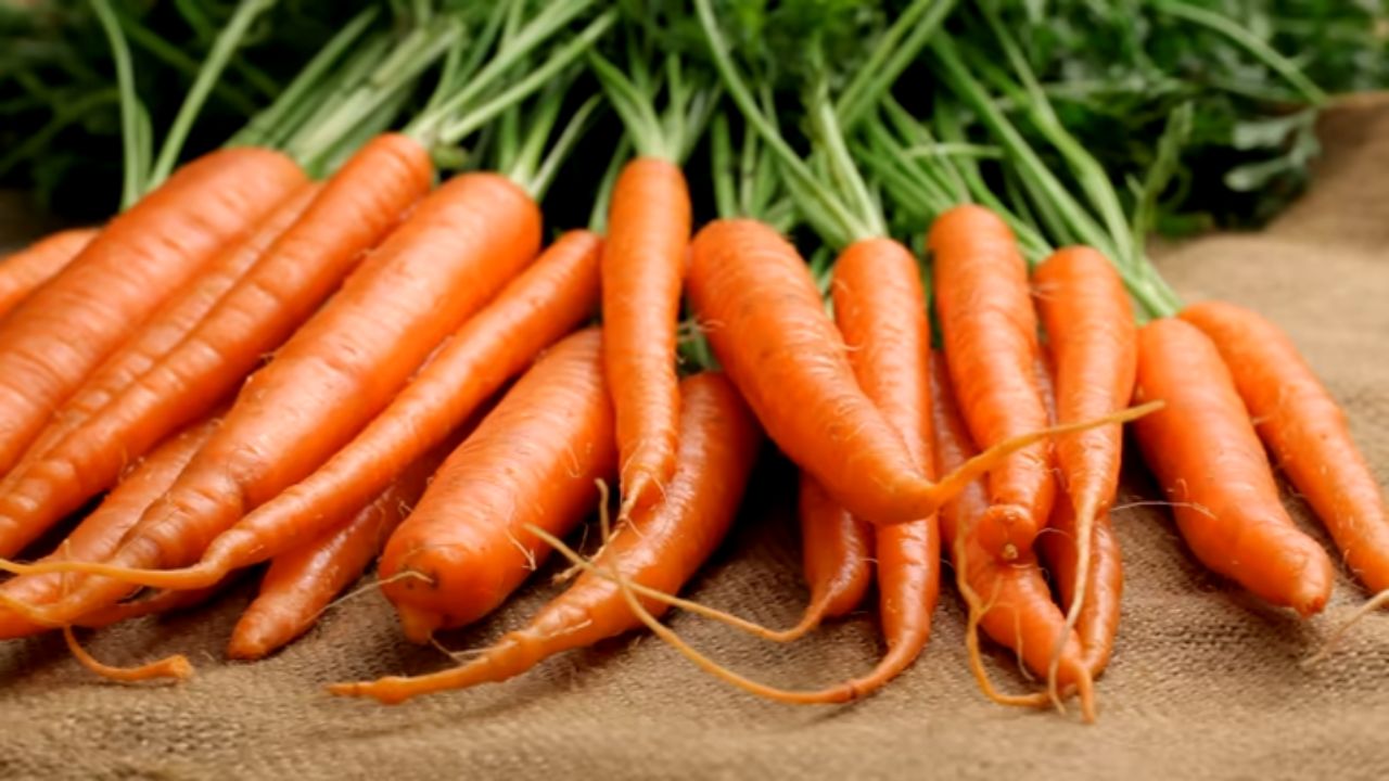 किडनी स्टोन असलेल्या रुग्णांनी गाजर खाऊ नये.गाजरातील ऑक्सलेट घटकामुळे किडनीमधील स्टोन आणखीनच वाढू लागतो, जे आरोग्यासाठी अतिशय हानिकारक मानले जाते.