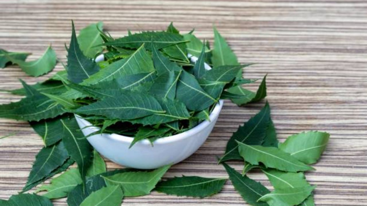 कडुलिंबाच्या पानांचे सेवन केल्यास आतड्यांमध्ये जमा झालेली घाण बाहेर पडून जाते आणि शरीर स्वच्छ होते. जंत झाल्यास एक कडुलिंबाचे पान चावून खाल्ल्यानंतर त्यावर कोमट किंवा गरम पाणी प्यावे. 