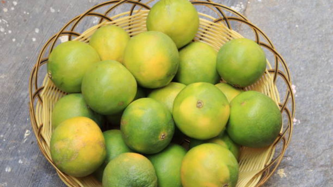 शरीरात जमा झालेले विषारी घटक बाहेर पडून जाण्यासाठी लिंबू पाणी प्यायले जाते. पण यामुळे काहीवेळा त्वचेसंबंधित समस्या आणि ऍलर्जी होण्याची शक्यता असते. 