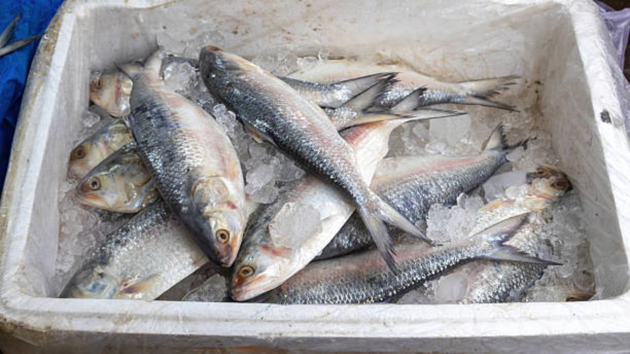 शिजवलेले चिकन किंवा मटण जास्त दिवस फ्रिजमध्ये ठेवू नये. शिजलेले मटण लवकर खराब होण्याची शक्यता असते. तयार केलेल्या पदार्थांचे सेवन केल्यामुळे ऍसिडिटी आणि अपचनाची समस्या वाढते.