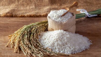 तुम्हाला सुद्धा कच्चा तांदूळ खाण्याची सवय आहे का? मग शरीरावर होतील ‘हे’ गंभीर परिणाम, आतड्यांचे होईल नुकसान