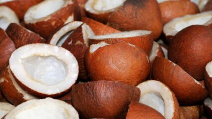 उच्च रक्तदाबाने हैराण झाला आहात? मग नियमित करा ‘या’ पदार्थाचे सेवन, हृदयाचे आरोग्य राहील कायमच निरोगी