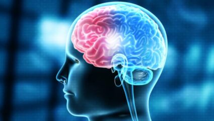 मोबाईलवरील शॉर्ट व्हिडीओंचा मेंदूवर दुष्परिणाम! मेंदूच्या कार्यपद्धतीमध्ये बदल होऊन शरीराचे होईल गंभीर नुकसान