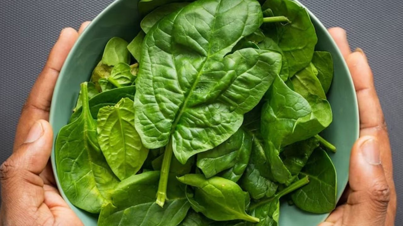 Health Care Tips : कच्चा की शिजवलेला कोणता पालक खाणं शरीरासाठी फायदेशीर ?