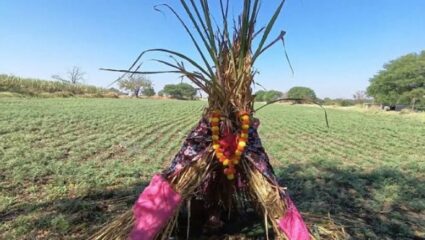 वेळ अमावस्या, शेतशिवारातला मोठा उत्सव; नेमका कुठे आणि कसा होतो सण साजरा?