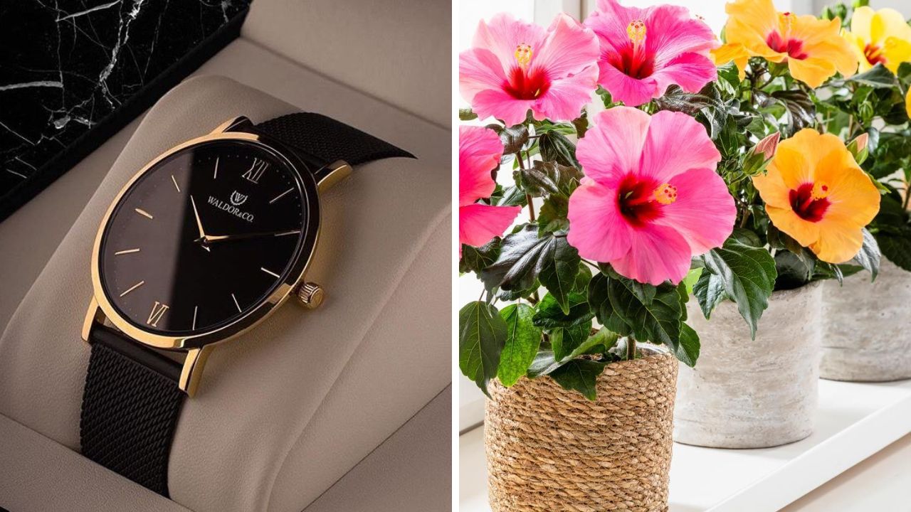 नवीन वर्षाची सुरुवात होण्यापूर्वी घराबाहेर काढा या गोष्टी, सकारात्मक ऊर्जा करेल प्रवेश