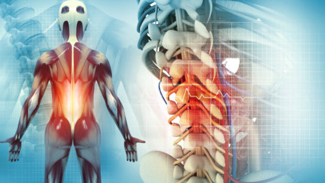 Bone Cancer: हाडांच्या कॅन्सरची आहे 7 धोकादायक लक्षणं, हाडांच्या कर्करोगाबाबत डॉक्टरांनी केला खुलासा