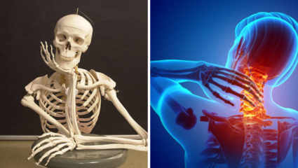 Calcium Foods: हाडांच्या सांगाड्यात कॅल्शियम खच्चून भरतील 5 पदार्थ, जखमाही भरतील लवकर; थंडीत सांधेदुखी गायब