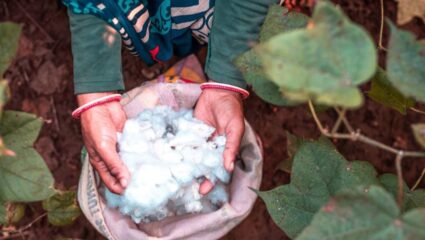 Chandrapur News: ‘सीसीआय’च्या कापूस विक्रीत अडचण; ओपन टोकन प्रणाली लागू करण्याची शेतकरी संघटनेची मागणी