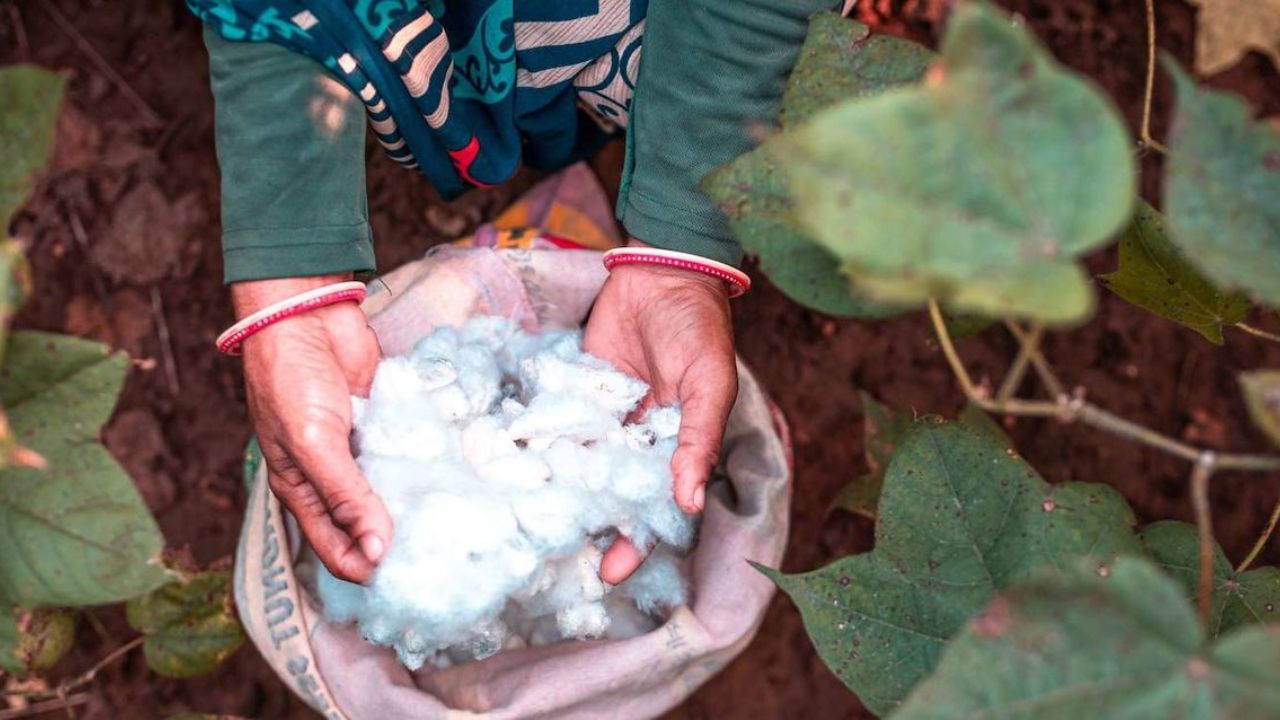 Chandrapur News: ‘सीसीआय’च्या कापूस विक्रीत अडचण; ओपन टोकन प्रणाली लागू करण्याची शेतकरी संघटनेची मागणी
