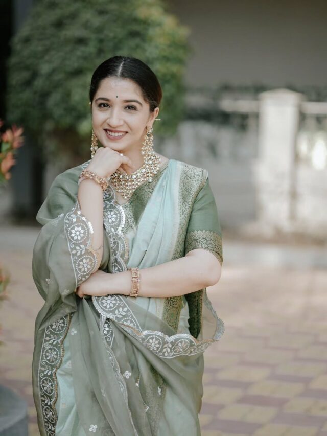 स्नेहलता वसईकरचा नवा लुक पाहिलात का?