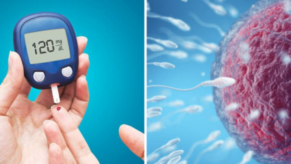 Diabetes ठरतो घातक, पुरुषांच्या Sperms आणि Fertility वरही होतो परिणाम; लैंगिक संबंधाचे संतुलनही बिघडते
